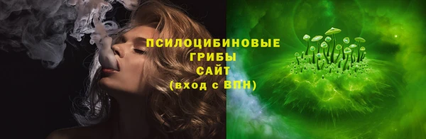 стаф Зеленодольск