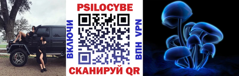 Псилоцибиновые грибы Psilocybe  как найти закладки  Александров 